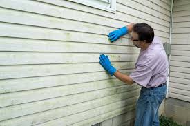 Best Insulated Siding Installation  in Cumings, TX